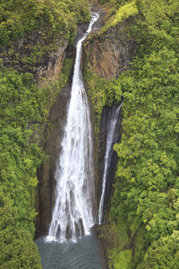 View of waterfall in forest