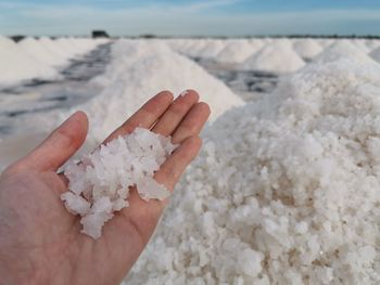 Cropped image of person holding salt