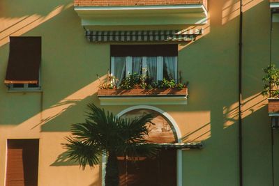 Potted plants on balcony of building