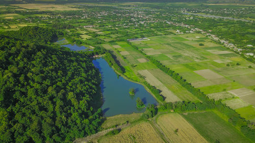 High angle view of agricultural field