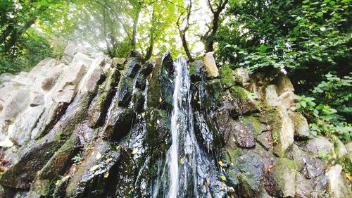 Scenic view of waterfall in forest