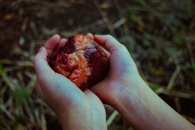 Cropped hand holding raw heart outdoors