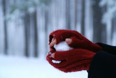 Close-up of person hand in snow