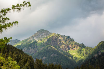 Natural landscape with green mountain peaks in summer