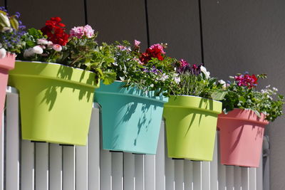 Multi colored flower pot on potted plant against wall