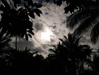 Low angle view of silhouette trees against sky