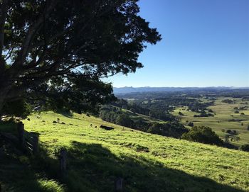 Scenic view of landscape against clear sky