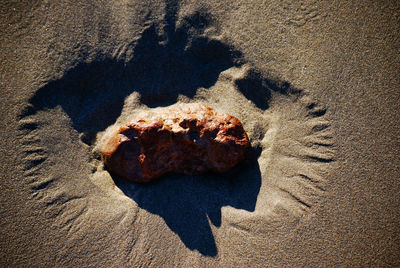 High angle view of rock on beach