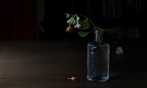 Close-up of flower vase on table