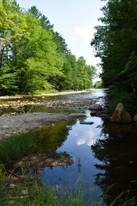 Scenic view of lake in forest against sky