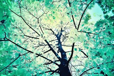 Low angle view of bare tree against blue sky