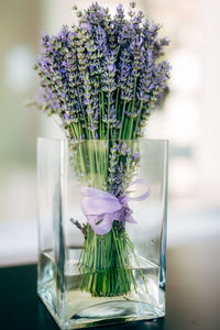 Close-up of purple flower in glass vase