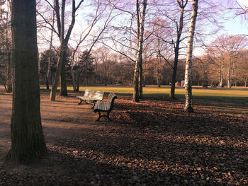 Empty bench in park during autumn