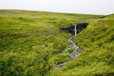 View of grassy landscape with mountain in the background