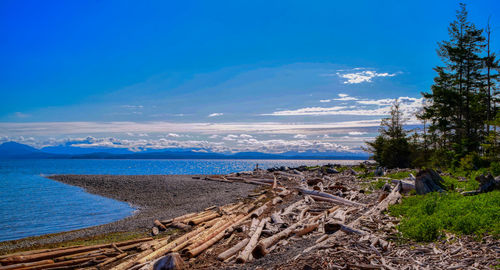 Scenic view of sea against blue sky