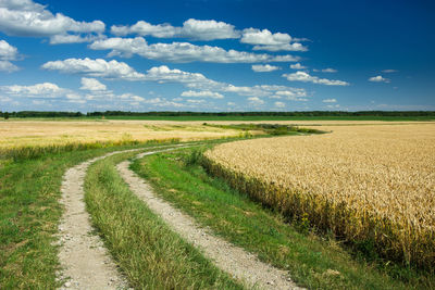 Scenic view of agricultural field against sky