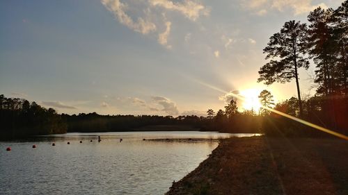 Panoramic view of trees against sky during sunset