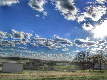 Scenic view of trees against blue sky