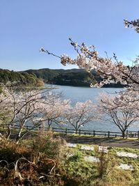 Scenic view of lake against clear sky