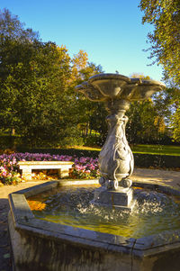 Pond in park