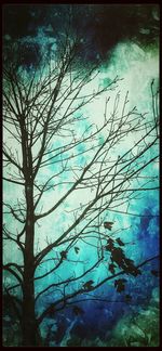 Bare trees against sky