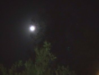 Low angle view of moon in sky at night