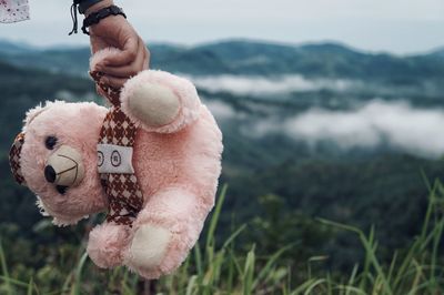 Close up of person holding teddy bear