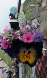 Close-up of purple flowers