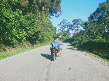 Rear view of man riding bicycle on road