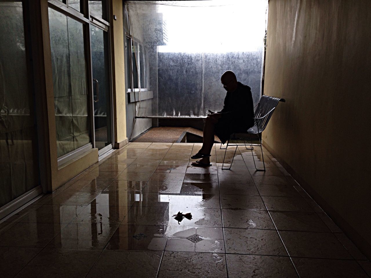 indoors, architecture, silhouette, pets, built structure, full length, window, domestic animals, tiled floor, one animal, glass - material, flooring, men, rear view, animal themes, sunlight, walking, reflection