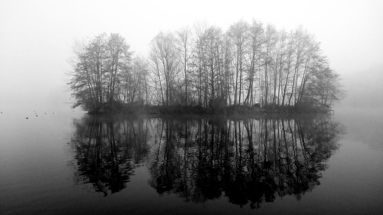 REFLECTION OF TREES IN LAKE