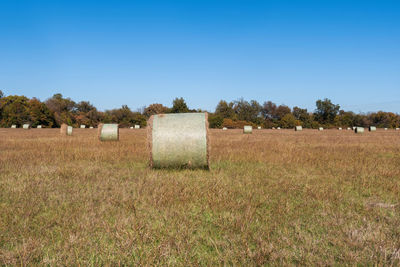 Hay harvested and rolled into round bales filling a farm field and ready to be sold.