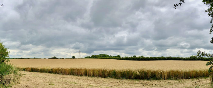 Panoramic shot of agricultural field against sky