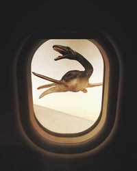 Close-up of airplane flying seen through window