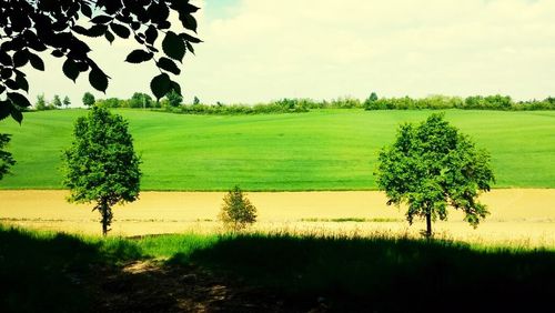 Scenic view of field against sky