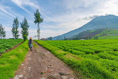 Rear view of man walking on road against sky