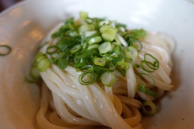 Close-up of food in bowl