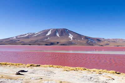 Scenic view of snowcapped mountains against clear blue sky