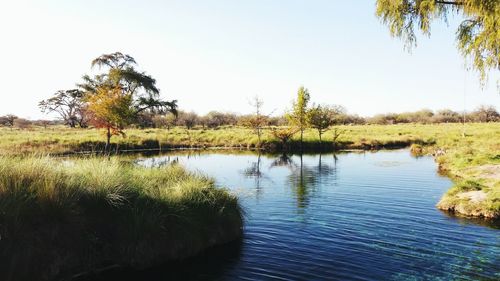 Scenic view of lake against clear sky