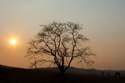 Silhouette bare tree against sky during sunset