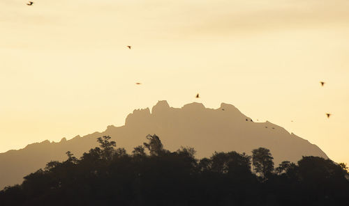 Silhouette of birds flying over mountain against sky