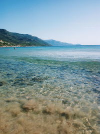 Scenic view of sea against clear sky