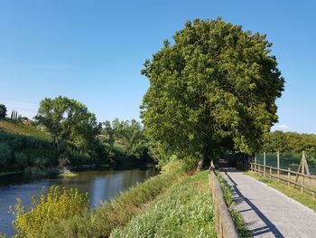 Scenic view of road through canal against clear sky