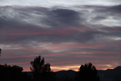 Silhouette trees against dramatic sky during sunset