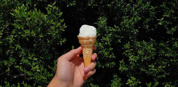 Close-up of hand holding ice cream cone