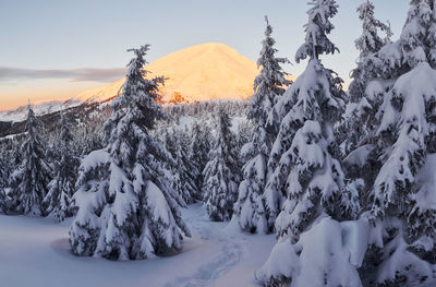 Majestic petros mountain illuminated by sunlight. magical winter landscape