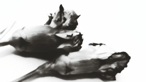 Close-up of ice cream on table against white background