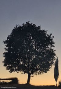 Silhouette tree against clear sky