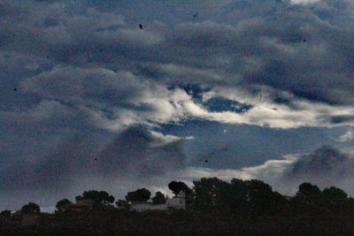 Low angle view of silhouette trees against sky