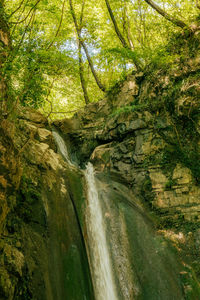 Scenic view of waterfall in forest